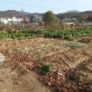 다경농장 이미지