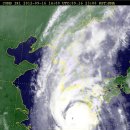 호산나주유소 이미지