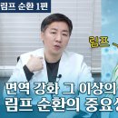 림프 순환의 중요성, 전신 노폐물 청소+감염 방지+암 예방 그 이상의 효과 / 림프 마사지 2024 ver. 업데이트 1편(이론) 이미지