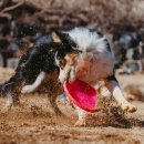 바닐라브릭 이미지