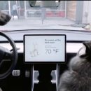 도그마트 이미지