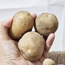 경숙농장 네이버블로그