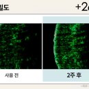 715뷰티
