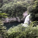 천제연폭포 이미지