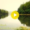 ฝากหัวใจ / Fahk Hua Jai (Entrust My Heart) 이미지