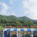 애견동반 멍멍아노올자 이미지