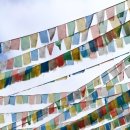 보림축산 이미지