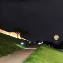 피개행개 이미지