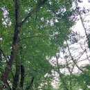 무인모텔9(나인) 이미지