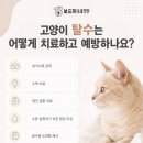 구미옥계동물병원