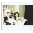 신동-54 | 수원 내돈내산 단골 꽃집들 모음🌷 신동 헤이데이플라워, 영화동 풀꽃, dsr 사내꽃집