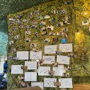 팀더블유 이미지