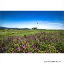 주경목장 이미지