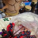 야생홍 작약 씨앗 10분께 5알씩 무료 나눔합니다 이미지