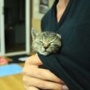 장성마을회관 이미지