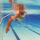 하이캐치 이미지