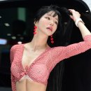 달구네 스포츠서울