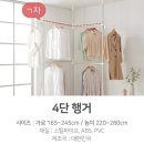 청년곱도리