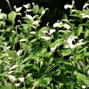 예당한의원 이미지