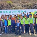 꿀벌목장 이미지