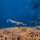 모든렌탈 | 고프로대여, 발리여행 준비물 고프로12 &#39;고프로렌탈 후기&#39;