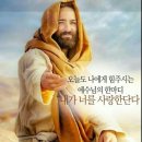 베일을 벗어라 이미지