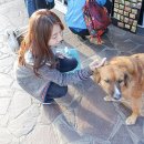 플로리안(3) 이미지