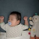 4개월 퍼버법 성공후기 (시작전 셋팅, 실패없이 시도하는법)