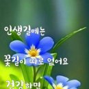 무방수날 이미지