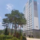 고촌중학교~신곡택지지구 도로 | [임장후기] 의정부 고산지구 &amp; 신곡 파크비스타