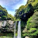 서귀동-32 이미지