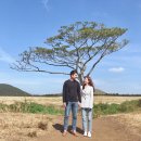 영광목장(3) 이미지