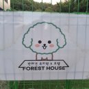 포레스트 하우스 애견유치원 이미지