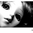 경화여자고등학교 이미지