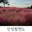 안성팜랜드 푸드트럭 이미지