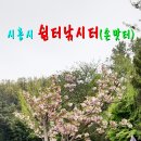 쉼터 낚시터 이미지