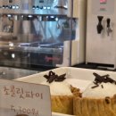 펌킨 | [대전 탄방동] 펌킨파이 맛집 내돈내산 후기 _ 원주율