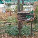 광주광역시 동구거리 넷, 미향의 오미 중 하나인 무등산 보리밥거리와 지산유원지 둘러보고∼∼