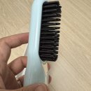 벨리타20