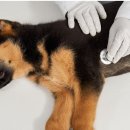 프롬그린 이미지