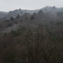 현북면사무소 이미지