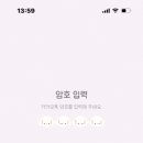 요이따