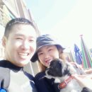 최상철 Daum카페