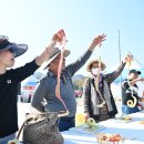 청송군종합문화복지타운 | 경북 청송축제, 제19회 청송사과축제 일정 및 프로그램 안내