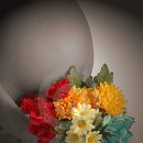 경희고운한의원 이미지