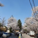 덕천서원화장실 이미지