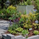 빛의 정원 - 20 이미지