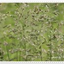 풍금소리 이미지