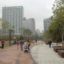 수내역 보행자도로 이미지