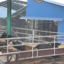 흥천목장 이미지